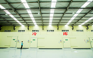 冷库